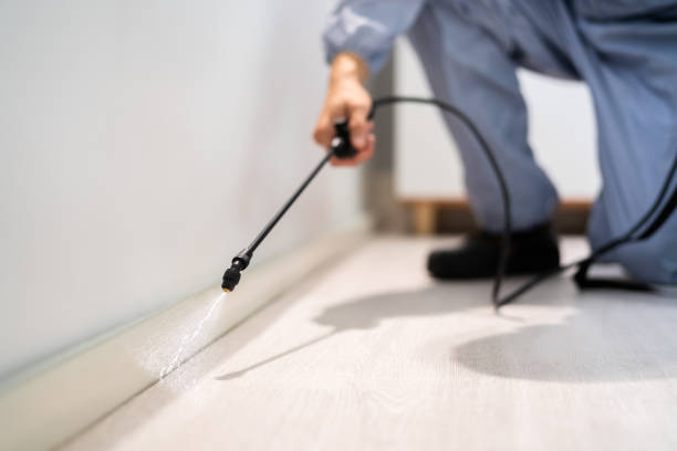 Licensed Rodent Control service in Wolfe County County, KY - Nex Pest Control
